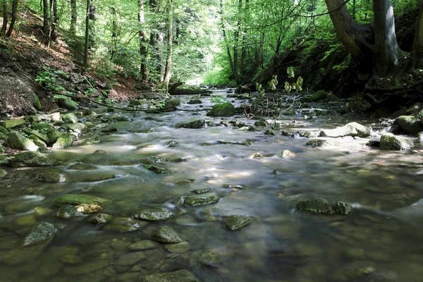 Bir forestwaterfall bir şelale bir ormandaki nehir üzerinde bir nehir üzerinde bir nehir üzerinde şelale