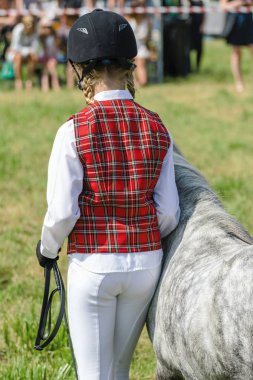 Bir çayır üzerinde yaz aylarında küçük midilli