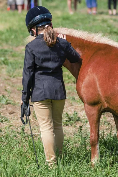 Bir çayır üzerinde yaz aylarında küçük midilli