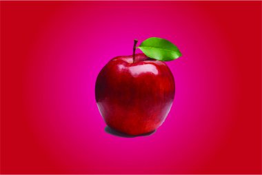 Elma meyve illustraton vektör