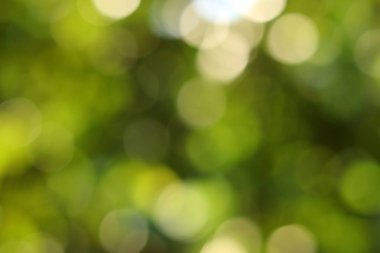 Soyut bokeh yeşil arkaplan ve yeşil bulanık arkaplan ve bahar arka planında doğal bulanıklık