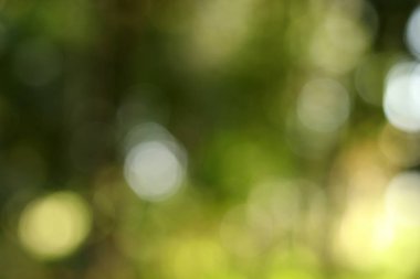 Soyut bokeh yeşil arkaplan ve yeşil bulanık arkaplan ve bahar arka planında doğal bulanıklık