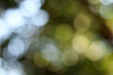 Soyut bokeh yeşil arkaplan ve yeşil bulanık arkaplan ve bahar arka planında doğal bulanıklık