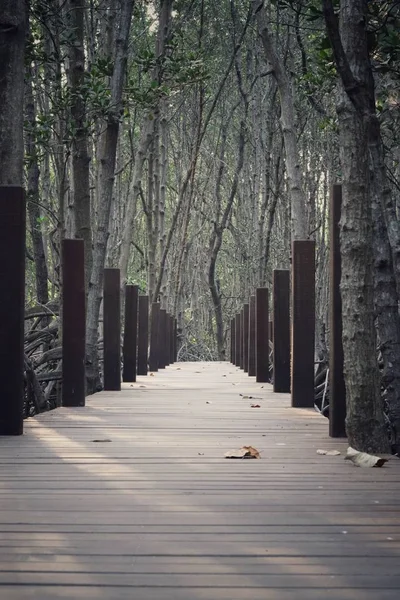 Starý Dřevěný Most Hlubokém Lese — Stock fotografie