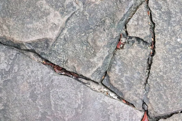 Çatallı Grunge Beton Duvar — Stok fotoğraf