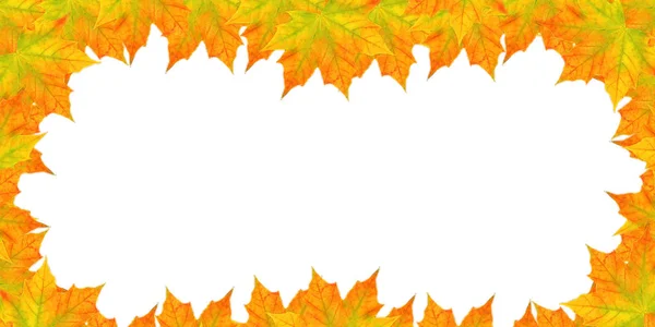 Copy Space Autumn Leaves Maple White Background Maple Leaf Frame — Stock Photo, Image