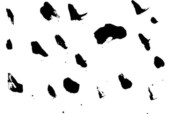 Πινέλο Γραμμή Εγκεφαλικό Επεισόδιο Πανό Μελάνι Τέχνης Μαύρο Λεκέ Splash — Φωτογραφία Αρχείου