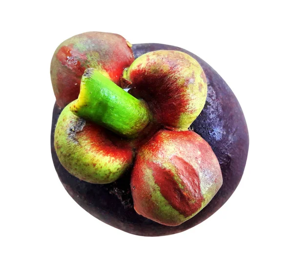 Ένα Mangosteen Φρούτο Πορφυρό Ολόκληρο Είναι Συσκευασία Απομονωμένη Λευκό Φόντο — Φωτογραφία Αρχείου