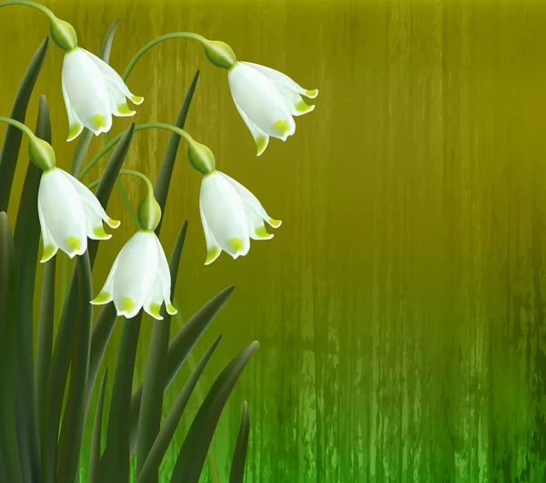 Květinové pozadí. Jarní květiny. Sněhové vločky. — Stockový vektor