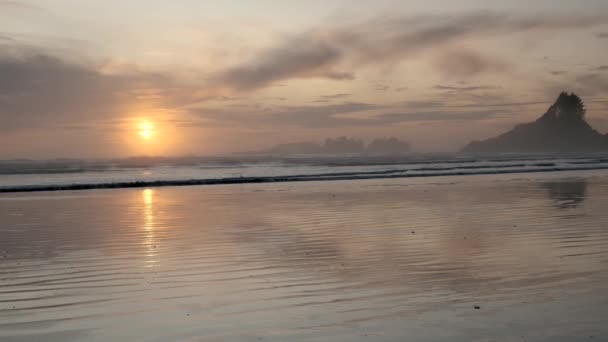 Tofino Vancouver Adası, Tofino sahilinde insanlar gün batımında Vancouver Adası 'nda sörf yapıyor. — Stok video