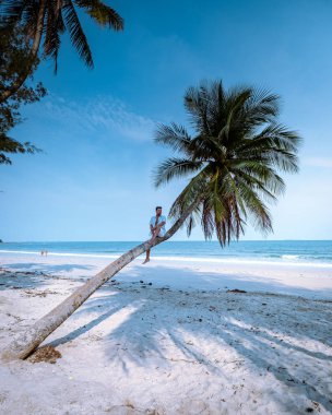 Wua Laen plajı Chumphon bölgesi Tayland, plajda asılı duran palmiye ağacı Tayland 'da tatilde olan erkekler.