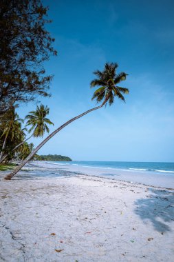 Wua Laen plajı Chumphon bölgesi Tayland, plajda asılı duran palmiye ağacı ve Tayland 'da tatil yapan bir çift.
