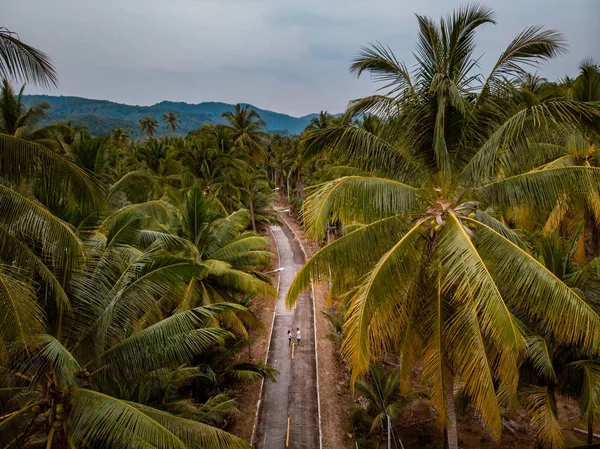 Thung Tako, Chumphon Ταϊλάνδη, φοίνικες από ψηλά στο νότιο τμήμα του Thaialnd — Φωτογραφία Αρχείου