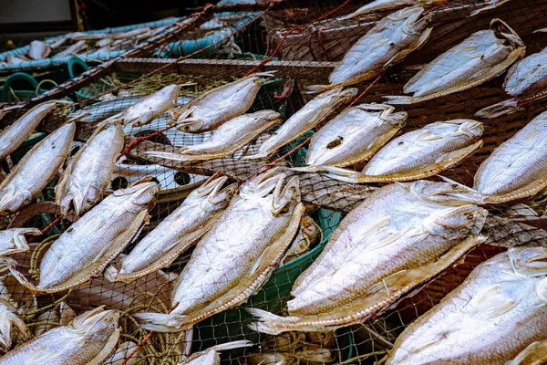 Trockenfisch in Thailand steht in Chumphon in Thailand zum Verkauf bereit — Stockfoto