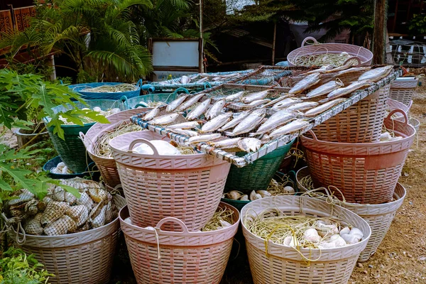 Trockenfisch in Thailand steht in Chumphon in Thailand zum Verkauf bereit — Stockfoto