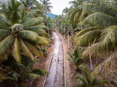 Thung Tako, Chumphon Tayland, Tayland 'ın güneyinde tepeden palmiye ağaçları, yolda bir çift.