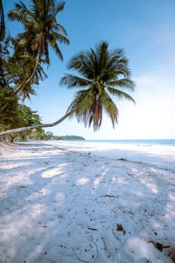 Wua Laen beach Chumphon area Thailand, palm tree hanging over the beach Thailand