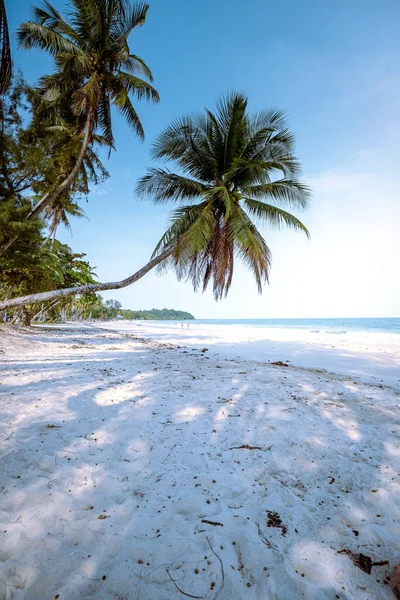 Wua Laen beach Chumphon area Thailand, palm tree hanging over the beach Thailand — 스톡 사진