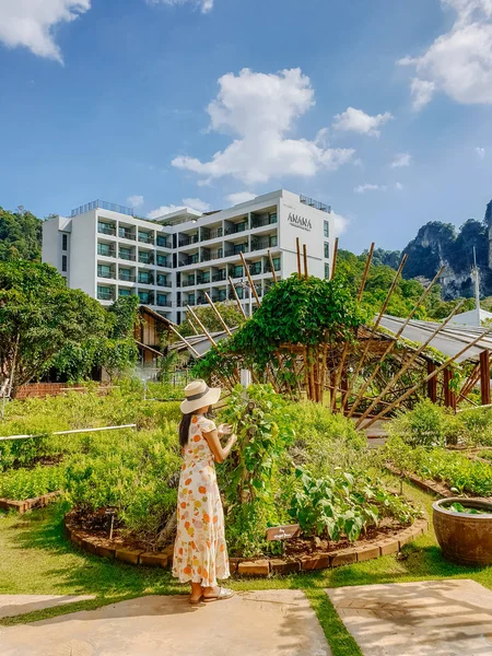 Krabi Thaïlande Janvier 2020, Une station de luxe écologique à Ao Nang whit un jardin tropical autour d'Anana Krabi — Photo