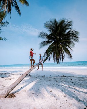 Tayland 'da palmiye ağacına tırmanan çift, Wua Laen plajı Chumphon bölgesi Tayland' da, plajda asılı duran palmiye ağacı ve Tayland 'da tatilde olan çift.
