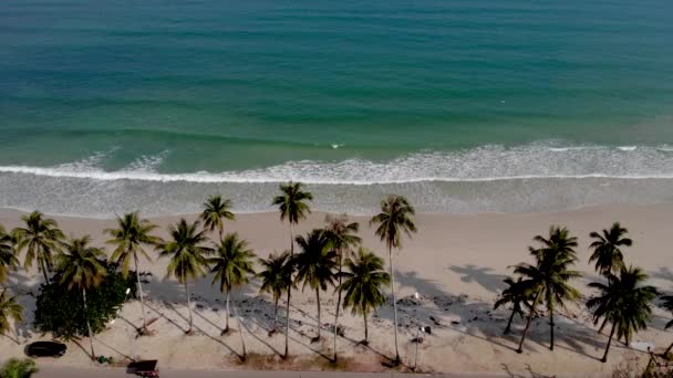 Chumphon Thailand white beach with palmtrees, Wua Laen beach Chumphon area Thailand, palm tree hanging over the beach — Stockvideo