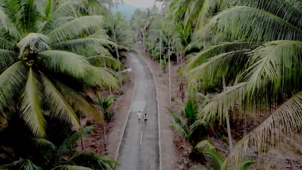 Chumphon Tailandia, camino con palmeras en la provincia de Chumpon, enormes palmeras cocoteros — Vídeo de stock