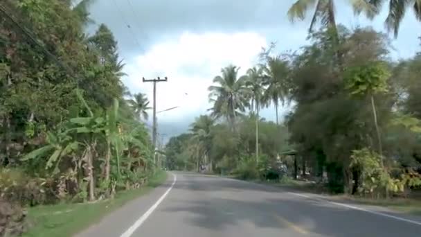 Chumphon Tailândia, estrada com palmeiras na província de Chumpon, enormes coqueiros de palma — Vídeo de Stock