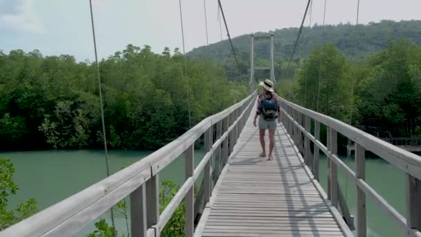 Parco nazionale di Chumphon, Thailandia, ponte di legno nel parco con alberi e mangrovie a Chumphon Thailandia — Video Stock