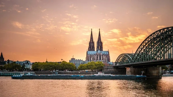 Koln Germany city skyline, Cologne skyline during sunset ,Cologne bridge with cathedral Germany Europe — Stockfoto