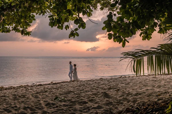 Tropik sahil Seychelkles, Praslin Seyşeller 'de palmiye ağacı olan beyaz plaj. — Stok fotoğraf