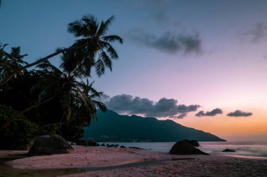 La Digue Seyşeller, palmiye ağacıyla beyaz tropik sahilde gün batımı.