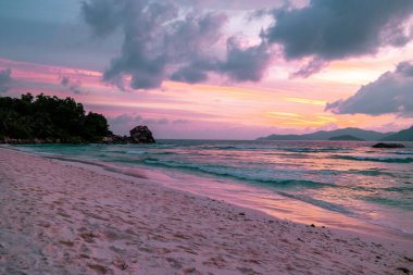 La Digue Seyşeller, palmiye ağacıyla beyaz tropik sahilde gün batımı.