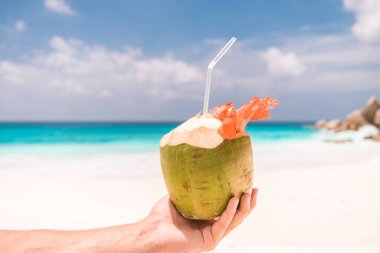 Seyşeller, beyaz tropik bir plajda hindistan cevizli, hindistan cevizli, tropikal hindistan cevizli,