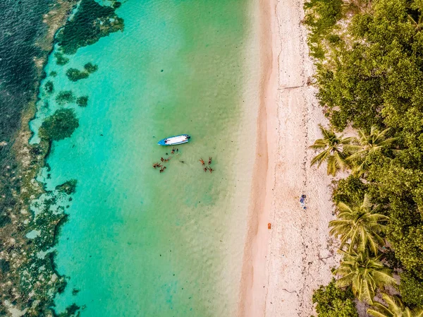 Praslin Seychellen, Strand tropische Insel mit Palmen Seychellen Praslin — Stockfoto