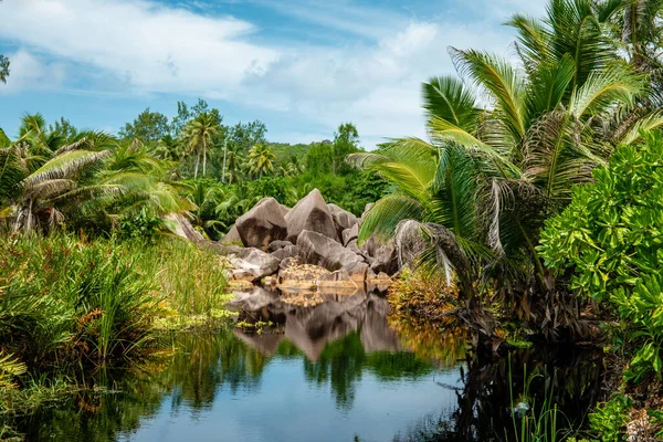 Praslin Seychely, plážový tropický ostrov s palmami Seychely Praslin — Stock fotografie