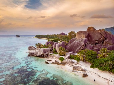 Seyşeller tropikal adaları, Praslins Adası Seyşeller çifti palmiye ağaçlarıyla tropik sahilde yürüyor.