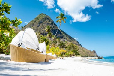 St. Lucia Adası plajında palmiye ağaçları ve lüks plaj sandalyeleriyle halka açık beyaz bir plaj olan Saint Lucia.