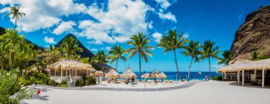 St. Lucia Adası plajında palmiye ağaçları ve lüks plaj sandalyeleriyle halka açık beyaz bir plaj olan Saint Lucia.