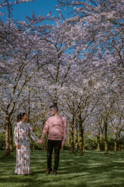 Amsterdam 'da bahar aylarında parkta dinlenen çift, Amsterdam' da çiçek açan kiraz ağacı, erkekler ve kadınlar bahar boyunca parkta yürürler.