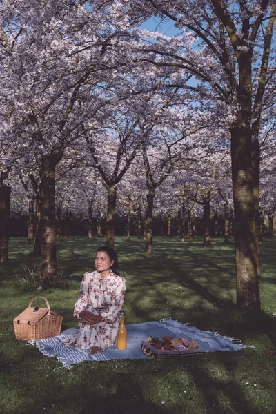 在荷兰阿姆斯特丹，女孩在樱花盛开的公园里散步，而在春天，女孩则在公园盛开的树上享受着海象 — 图库照片