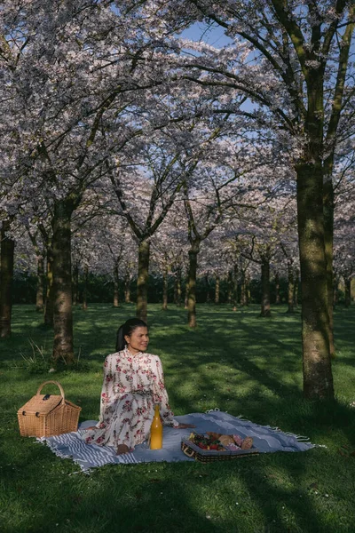 Menina andando no parque com cerejeira florescendo árvore em Amsterdã Holanda, fêmea goza de uma walki no parque florescendo árvore durante a primavera — Fotografia de Stock