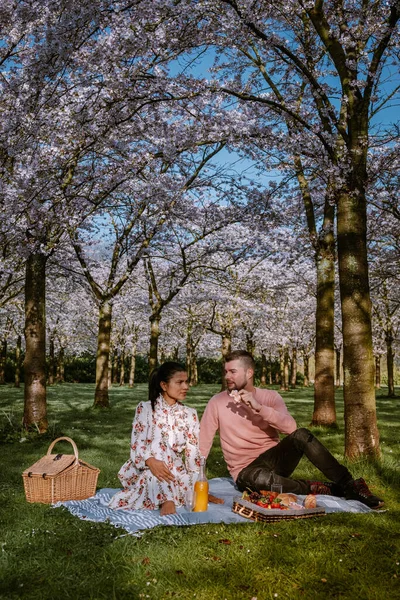 Couple picnic in the park during Spring in Amsterdam Netherlands, blooming cherry blossom tree in Amsterdam, men and woman walk in park forest during Spring