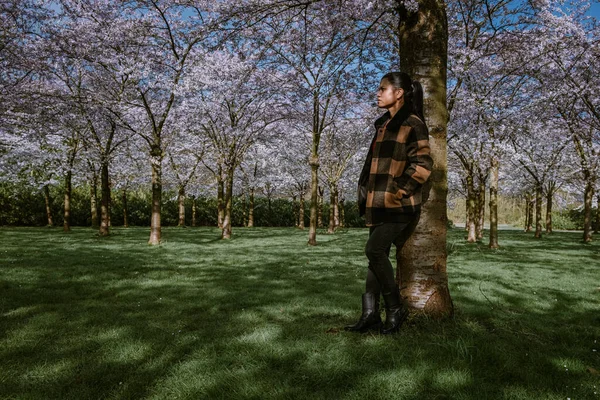 Menina andando no parque com cerejeira florescendo árvore em Amsterdã Holanda, fêmea goza de uma walki no parque florescendo árvore durante a primavera — Fotografia de Stock