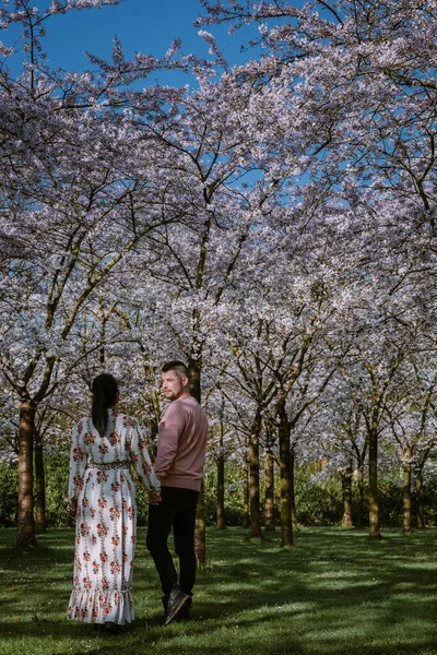 Couple se détendre dans le parc au printemps à Amsterdam Pays-Bas, fleurs de cerisier à Amsterdam, les hommes et les femmes se promènent dans la forêt du parc au printemps — Photo