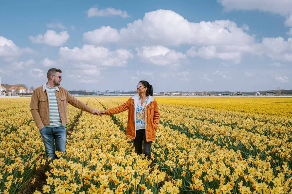 Campo di fiori gialli, coppia che cammina in aiuola gialla fiori gialli narcisi durante la primavera in Olanda Lisse — Foto Stock