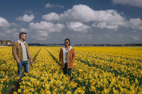 Campo de flores amarelo, casal andando em flores amarelo canteiro de flores amarelo narciso durante a primavera na Holanda Lisse — Fotografia de Stock