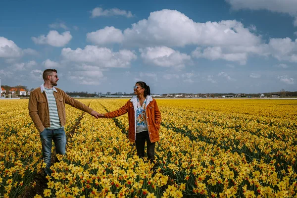 Campo di fiori gialli, coppia che cammina in aiuola gialla fiori gialli narcisi durante la primavera in Olanda Lisse — Foto Stock