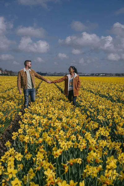 Yellow flower field, couple walking in yellow flower bed yellow daffodil flowers during Spring in the Netherlands Lisse — Stock Photo, Image