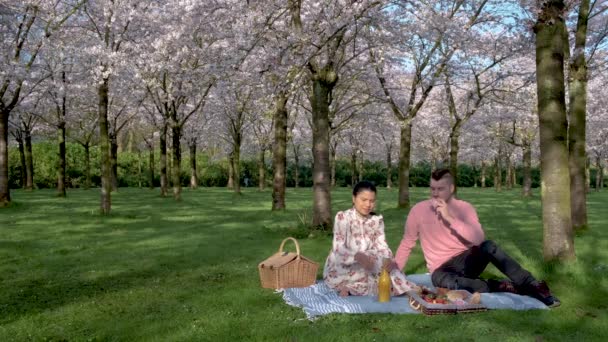 アムステルダムの春の間に公園でカップルピクニックオランダ、アムステルダムで桜の木を開花、春の間に公園の森の中を歩く男性と女性 — ストック動画