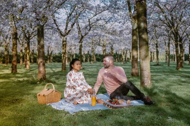 Amsterdam 'da bahar boyunca parkta çift pikniği, Amsterdam' da çiçek açan kiraz ağacı, erkekler ve kadınlar bahar boyunca parkta yürürler.